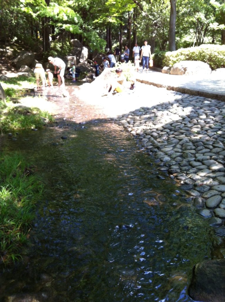 蚕糸の森公園の水遊び場