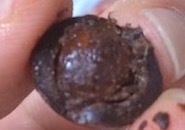 ロイヤルビューティー(ROYAL BEAUTY) カカオ80％チョコレート ザクロ＆クランベリー（三菱食品）