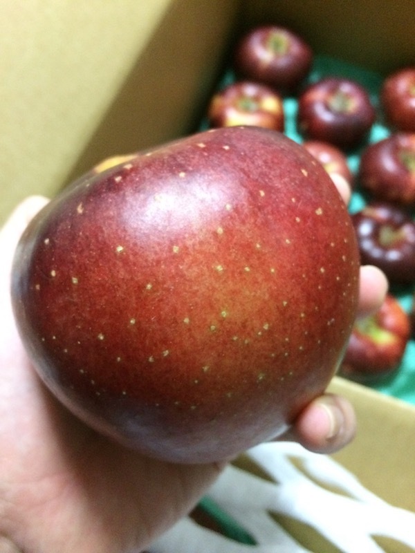 長野県上田市の応援販売、ひょうに当たった果実、JA信州うえだの合戦りんごが美味しいのでおすすめ