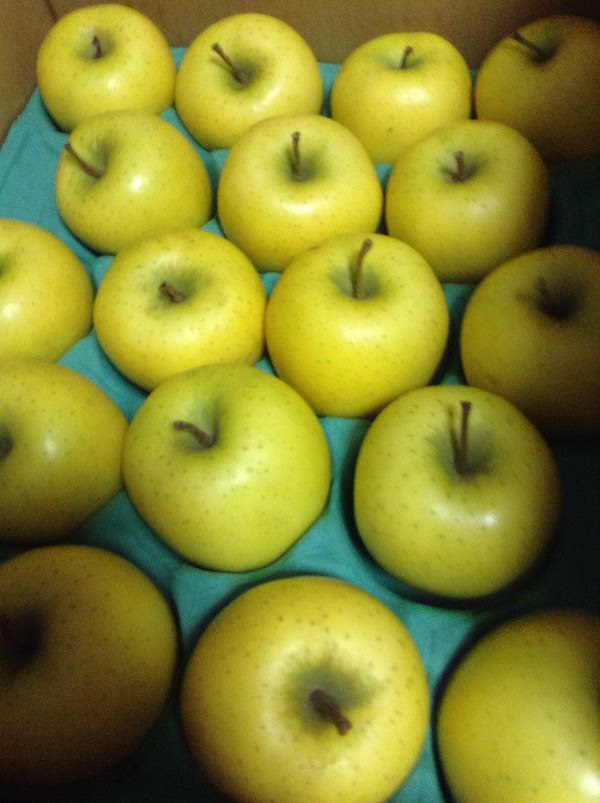 北国お米ショップのリンゴ（シナノゴールド）は加工用なのに優秀な品質で美味しい
