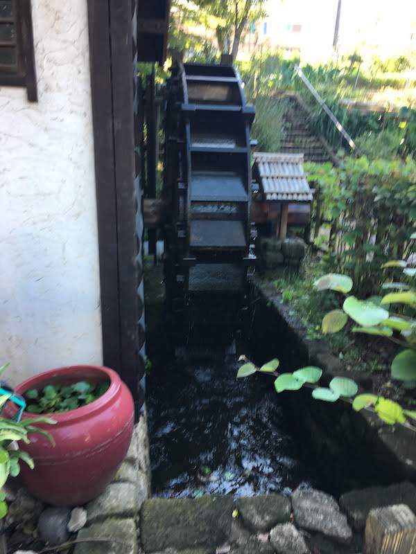 水車公園(東京都板橋区)の水田はバッタ・イナゴ等の虫捕りにおすすめ