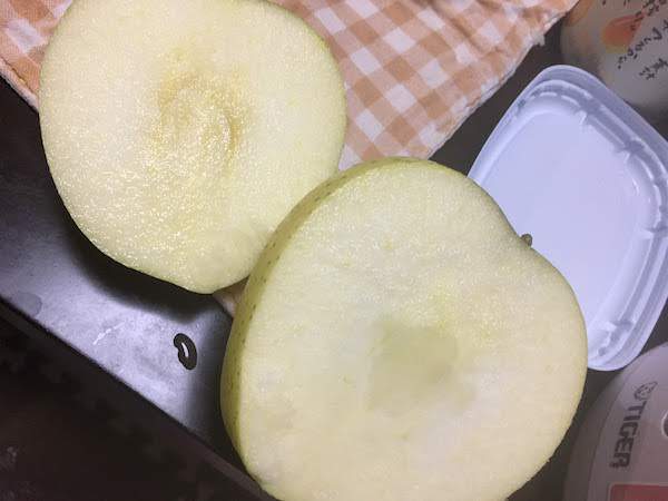 山形県長井市(ふるさと納税)のりんごは美味しいし高コスパでおすすめ