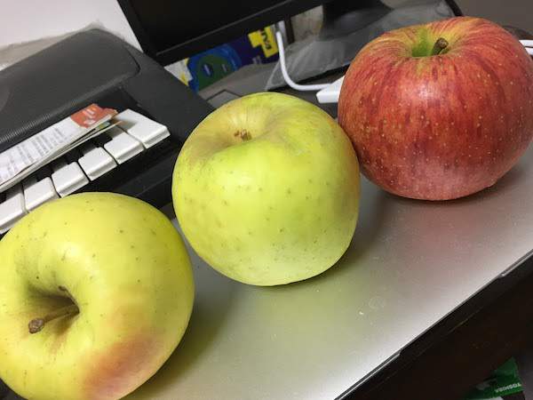 名月という品種のりんごの味・食感等の感想。どこで買えるか