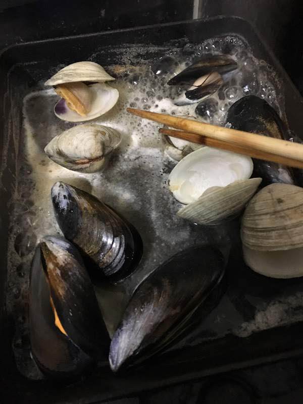ホンビノス貝は安いし美味しい二枚貝で味噌汁や酒蒸しにおすすめ