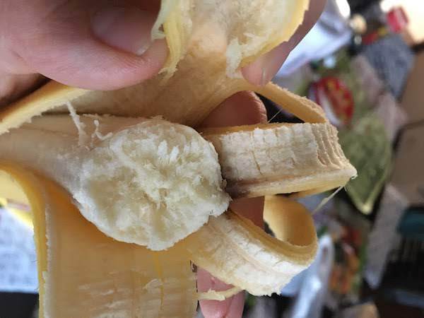 エクアドルで日本人が作った田辺農園バナナ