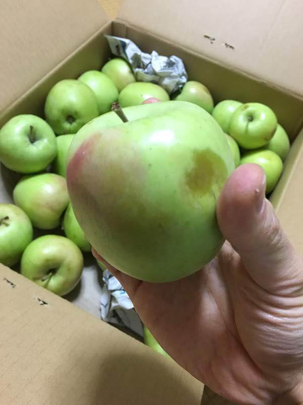 青森期待の新人商店のぐんま名月りんごは高コスパである