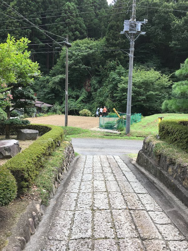 高根沢町・烏山市は夏休みの子どもと一緒の虫取りに最適である