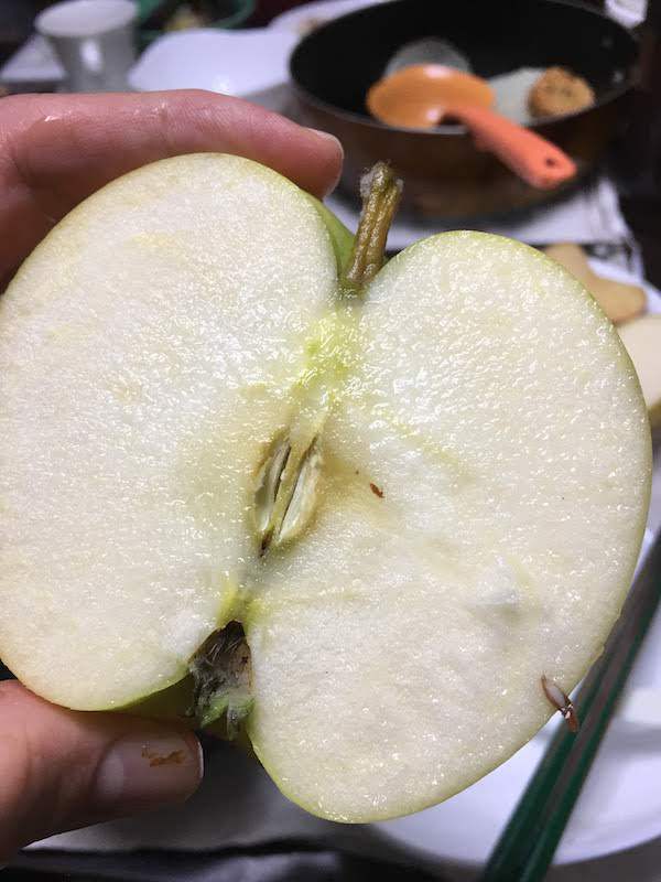 有限会社黒田青果の家庭用トキりんご10kgはおすすめである